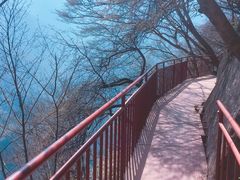 -陕西省红河谷森林公园