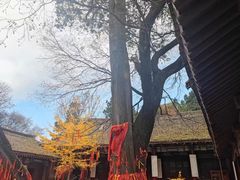 -少华山国家森林公园