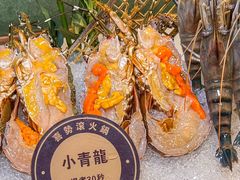 -喜聚薈·花膠雞海鮮火鍋(越秀店)