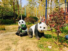 -合肥滨湖国家森林公园