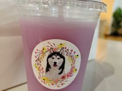 -Husky Go! 哈士奇体验馆·宠物咖啡厅狗咖