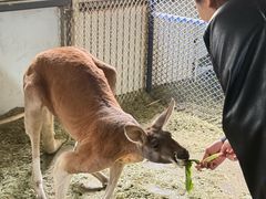 -水上乐园·欢乐世界