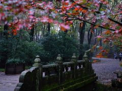 -灵谷景区