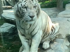 -北京野生动物园