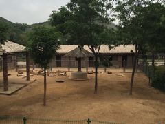 -石家庄市动物园