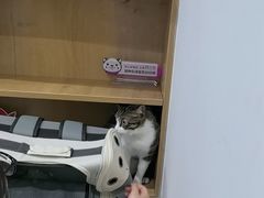 -艾贝尔宠物医院·24H转诊中心·肿瘤猫专科(江宁双龙店)