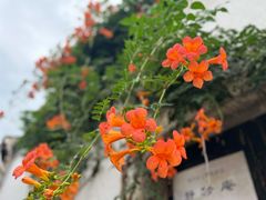 -仓桥直街