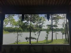 -上海海湾国家森林公园