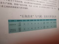 -白鹤梁水下博物馆