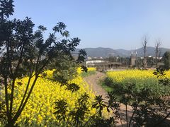 -驿舍·民國老营房院子私房菜(科学会堂店)