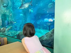 -福州罗源湾海洋世界旅游区