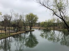 -西溪国家湿地公园