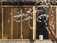 -三里河公园