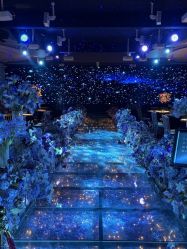 -花嫁丽舍海岛婚礼殿堂(国展店)