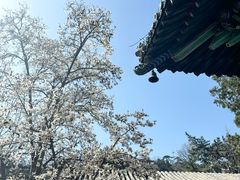-潭柘寺景区