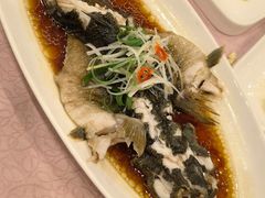 -龙景軒大酒店(共康店)