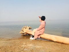 -岳城水库