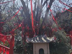 -茅山东方盐湖城景区