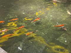 -惠食佳(滨江大公馆店)