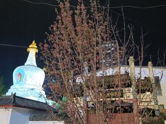 -西塔
