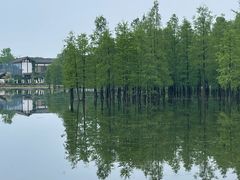-白鹭湾湿地公园