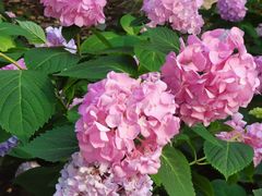 -常州古运河南大街文化旅游区-人民公园