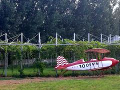 -白鹿原葡萄主题公园