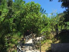 -仙店农庄(湖景农庄餐厅)