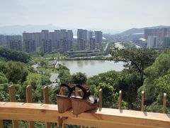 -飞凤山奥体公园