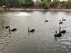 -泉州海丝野生动物世界