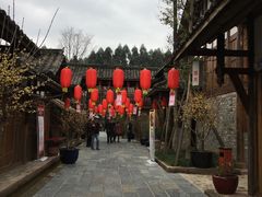 -秀丽东方