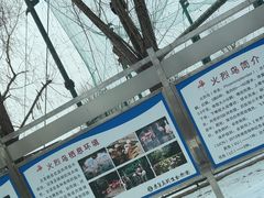 -秦皇岛野生动物园