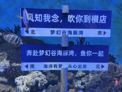 -横店影视城梦幻谷园区