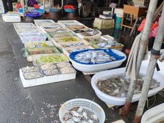 -芦潮港集贸市场