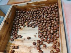 -阿男野栗王(金门路店)