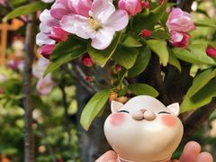 -创艺无限·赵春香微妙艺术馆