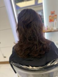 -镁连社·美联社