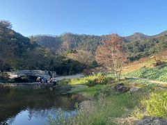 -广州市石门国家森林公园
