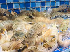 -睿柏云酒店-餐厅