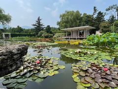 -国家植物园南园