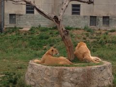 -西安秦岭野生动物园