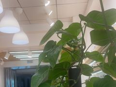 -刺鸟眼镜(全国连锁中山广场店)