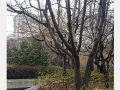 -剪刀石头布家居广场