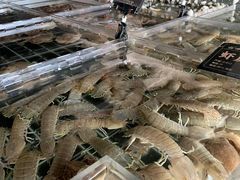 -浩运海鲜·16年专注青岛菜(石老人店)