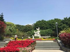 -金鸡山公园