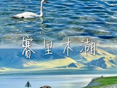 -赛里木湖风景名胜区
