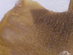 -川渝又一村火锅烤肉自助(步行街店)