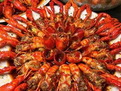 -红盔甲·小龙虾(天钥桥店)