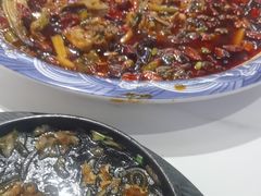 -新概念来凤鱼(璧山店)