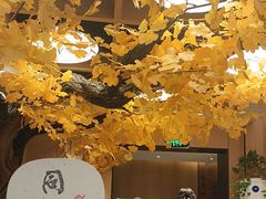 -同乐馆(阳光店)